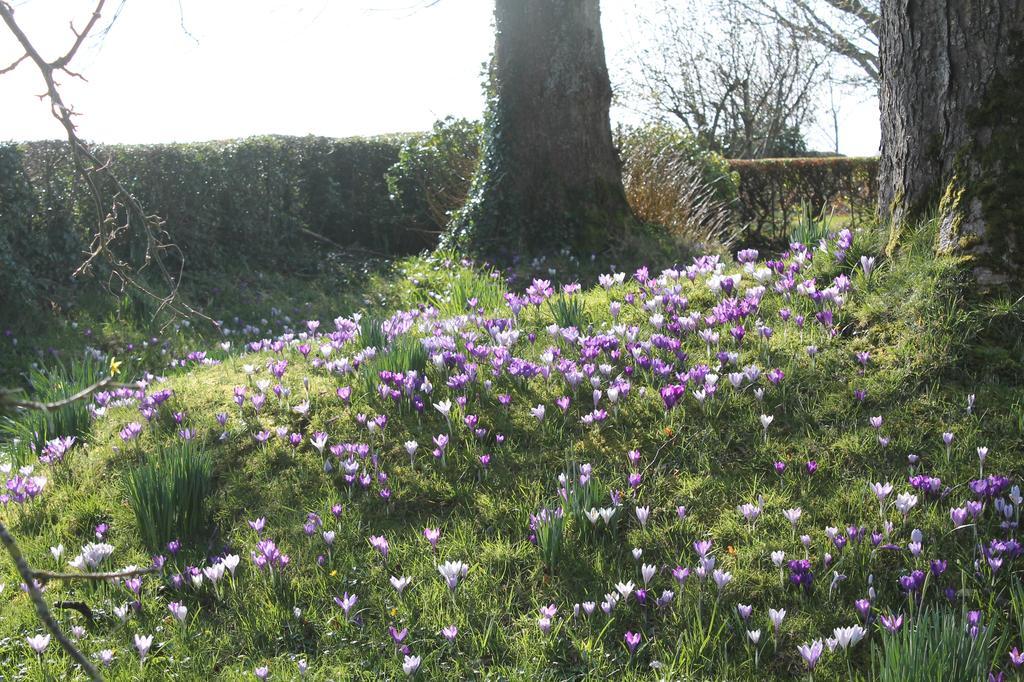 Ballyhargan Farm House Dungiven Екстериор снимка