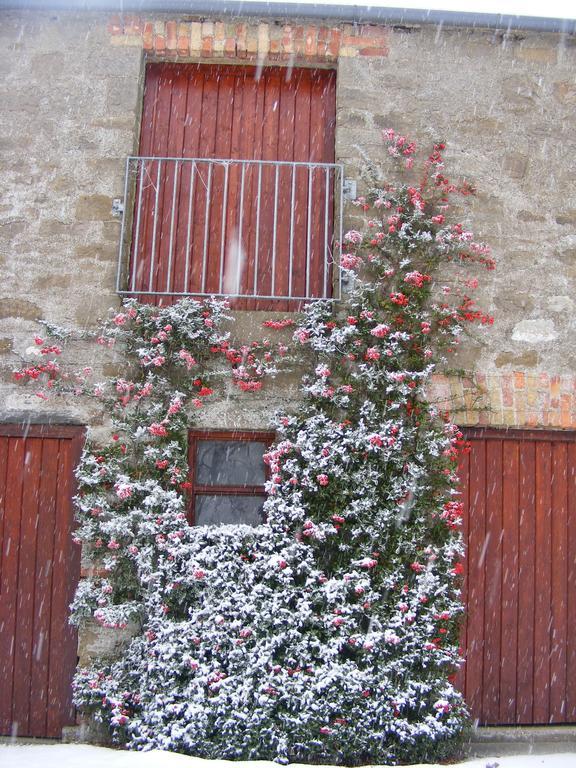 Ballyhargan Farm House Dungiven Екстериор снимка