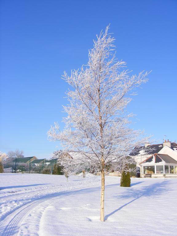 Ballyhargan Farm House Dungiven Екстериор снимка