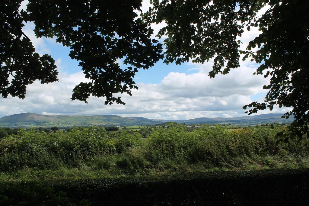 Ballyhargan Farm House Dungiven Екстериор снимка