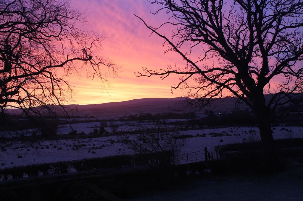 Ballyhargan Farm House Dungiven Екстериор снимка